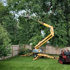 Avon, IN Tree Services Company